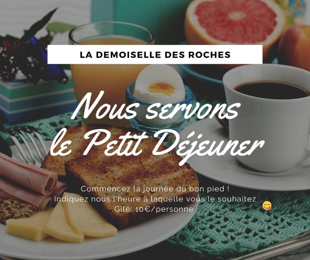 Apartament Demoiselle Des Roches Ramonchamp Zewnętrze zdjęcie