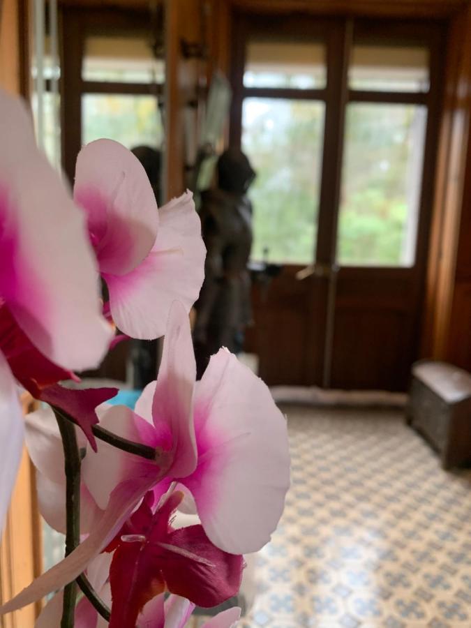 Apartament Demoiselle Des Roches Ramonchamp Zewnętrze zdjęcie
