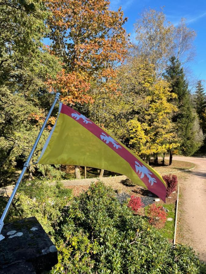 Apartament Demoiselle Des Roches Ramonchamp Zewnętrze zdjęcie