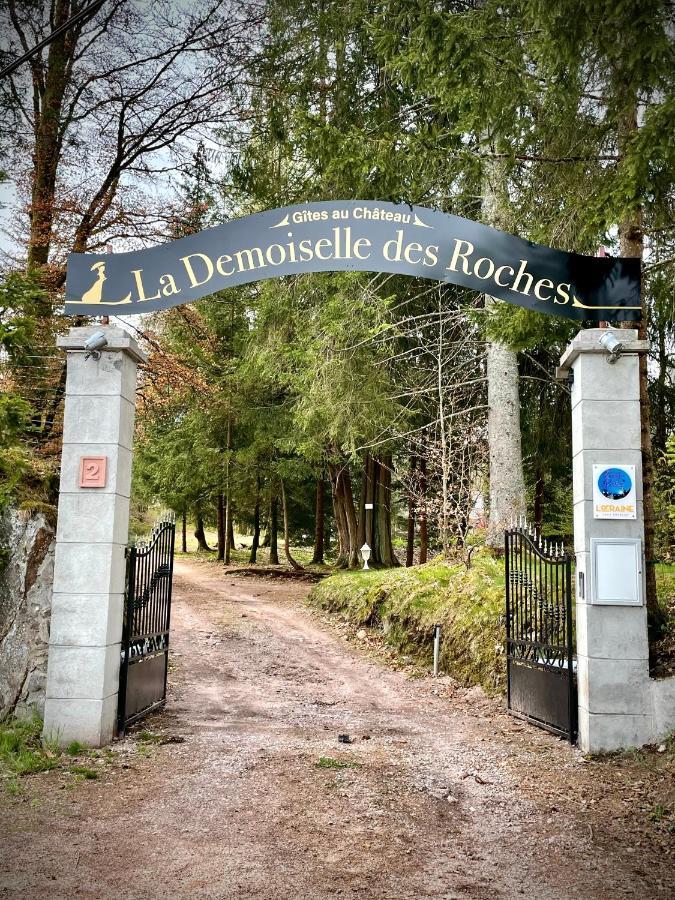 Apartament Demoiselle Des Roches Ramonchamp Zewnętrze zdjęcie